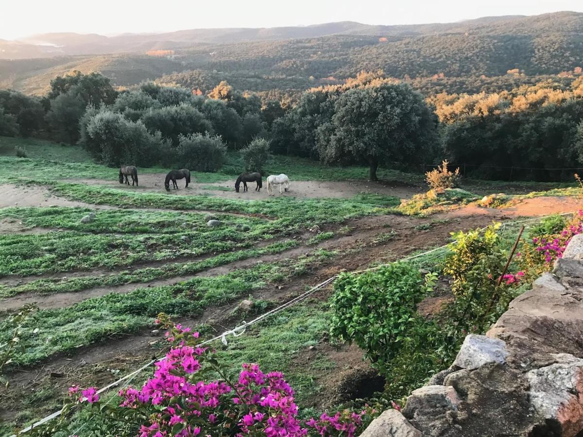 Can Maimes Agullana Buitenkant foto