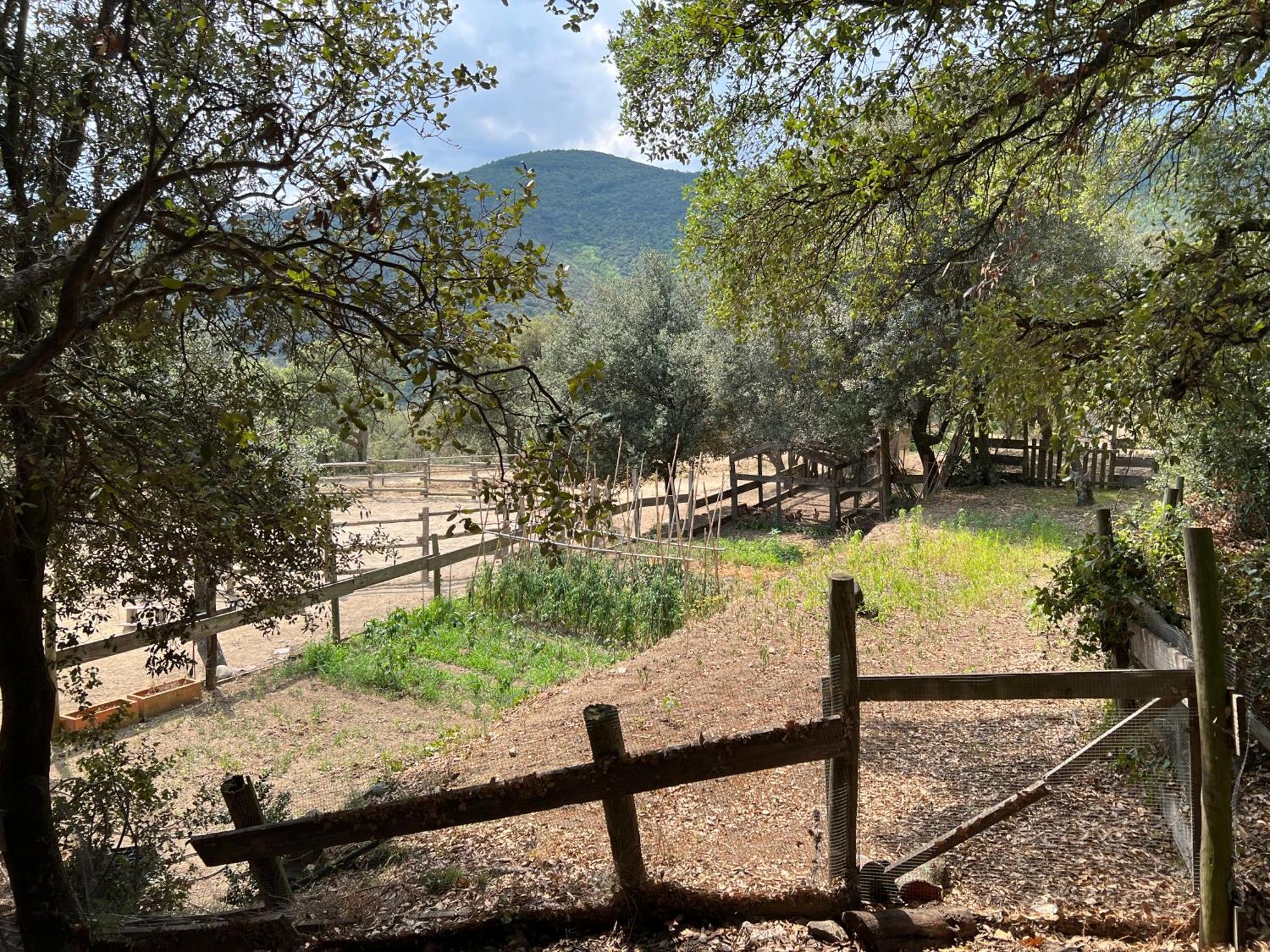 Can Maimes Agullana Buitenkant foto