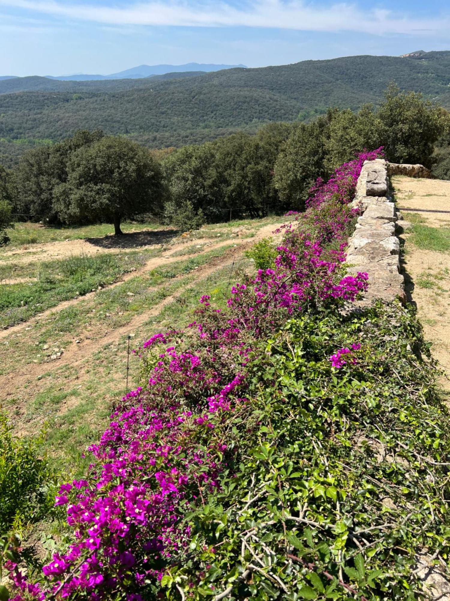 Can Maimes Agullana Buitenkant foto
